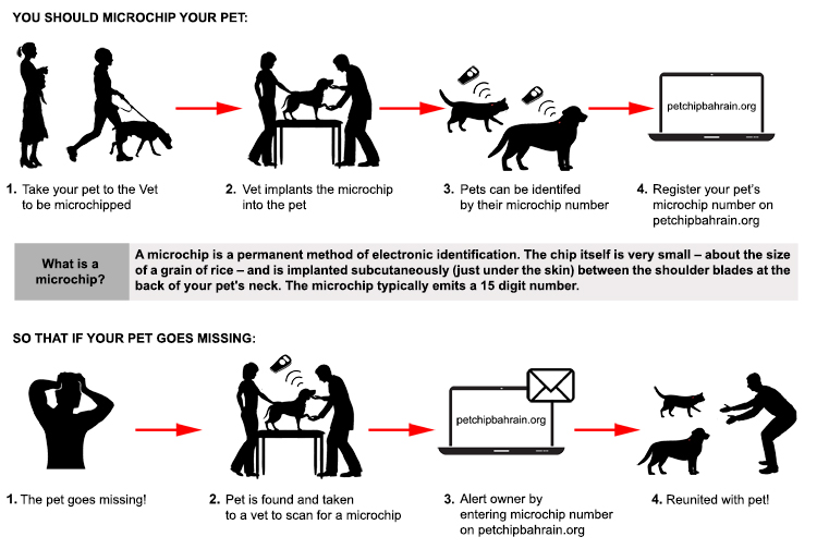 dog microchip registration