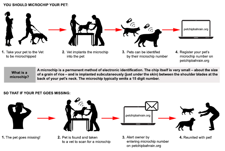 pet chip registration